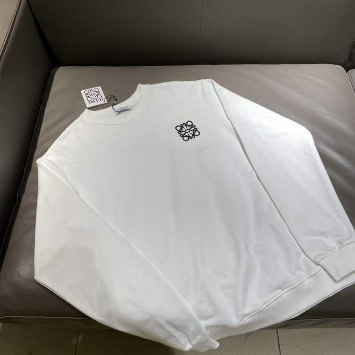 Picture of Loewe  Sweatshirt _SKULoeweM-2XLfxtx0133557